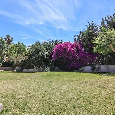 Apartamento Elma 3 Calicos (Albufeira)